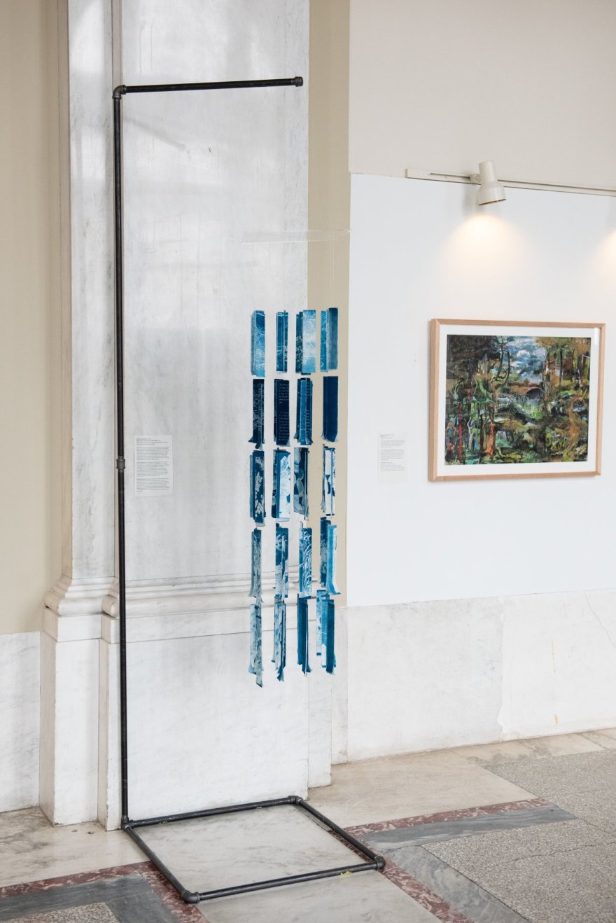 91408185_10158420669679783_4961150430512939008_o