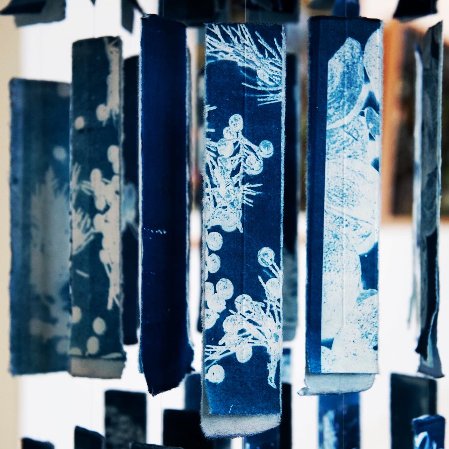 A7A9B5E5-DB99-4D2F-BC7E-18BFE7277A5C